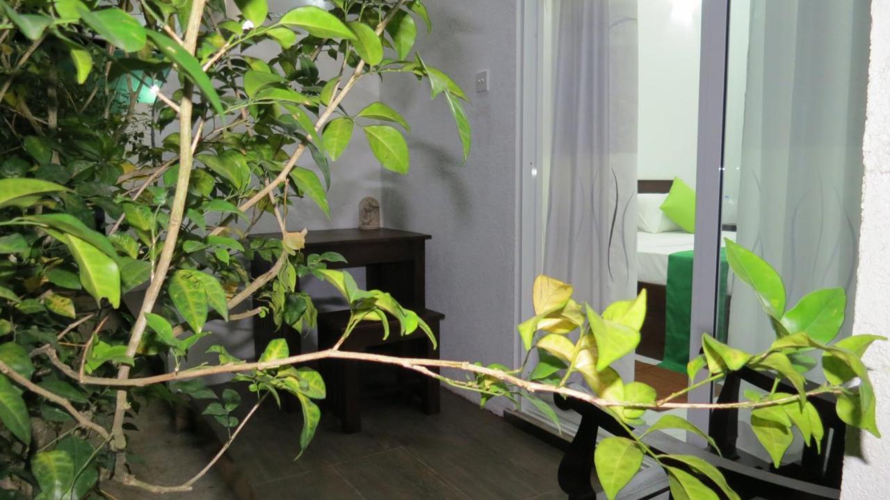 Senomaal Sigiri Resort Dambulla Buitenkant foto